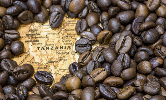 The world’s most popular coffee species are going extinct. And scientists say we are to blame